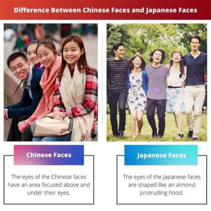 韓国 人 から 見 た 日本 人 の 顔——「違い」はどこで生まれるのか